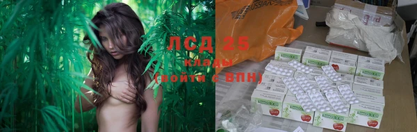 молекула духа Новокубанск