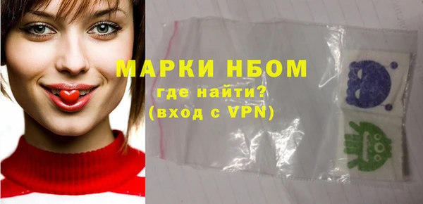 стафф Новозыбков