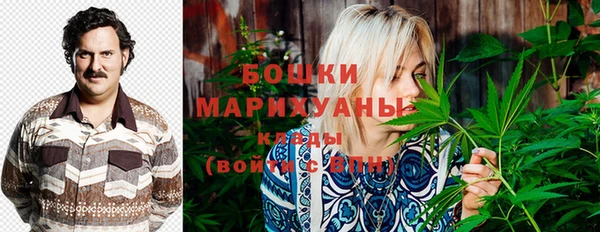 стафф Новозыбков