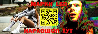 сатива Краснодар