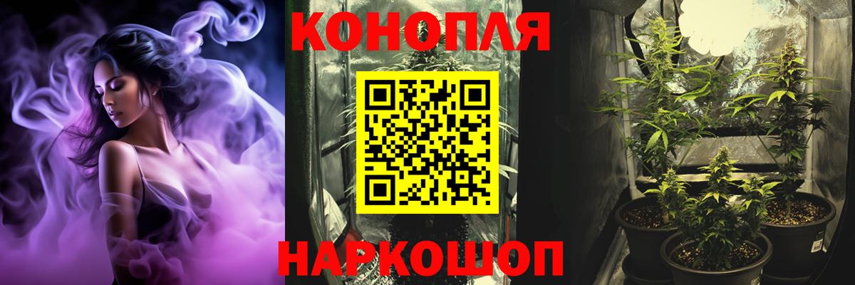 Каннабис планчик Протвино